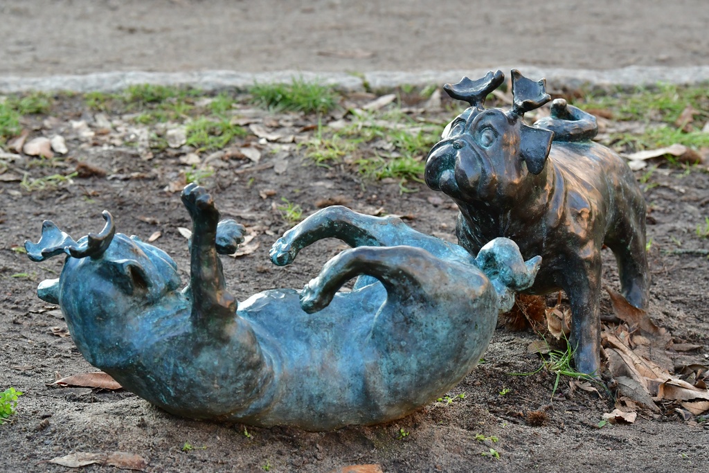 2026-01-08 Brandenburg an der Havel/Waldmöpse/DSC_2393.JPG